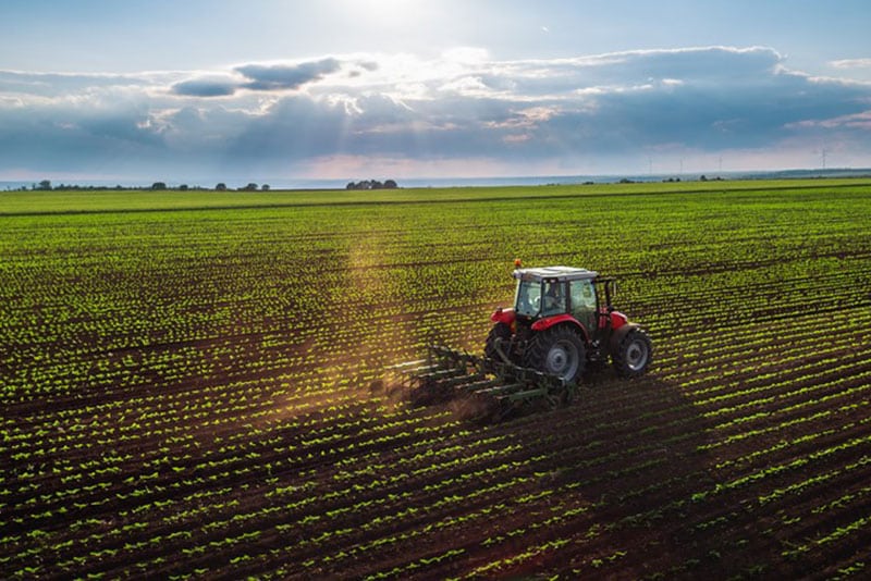 Gypsum-as-Fertilizer-Macon-GA