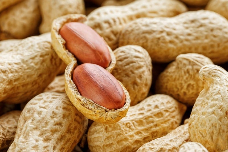 Calcium-for-Peanuts-Savannah-GA