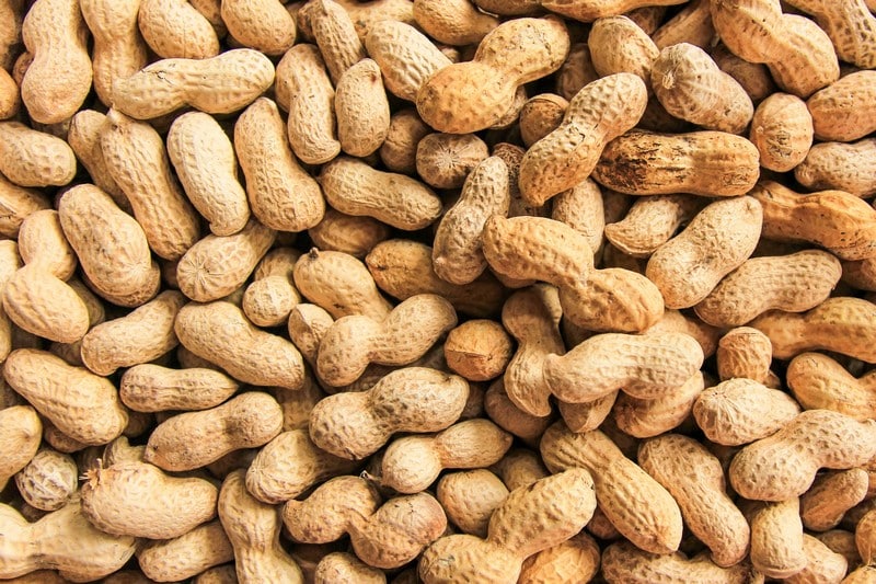 Gypsum-for-Peanuts-Opelika-AL