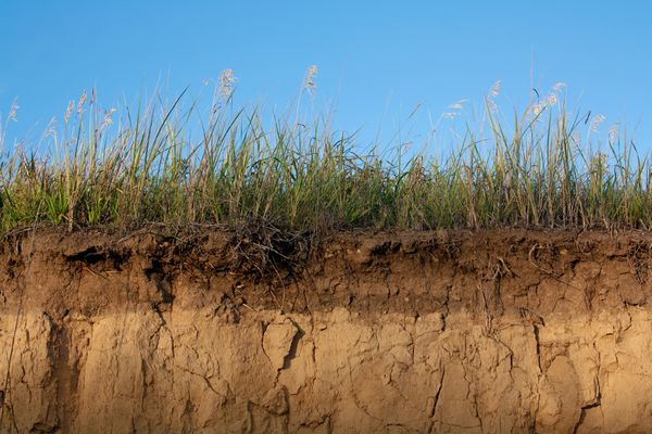 Gypsum-For-Agriculture-Oceanside-CA