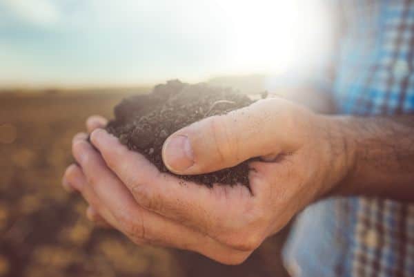 Gypsum-In-Agriculture-Glendale-CA