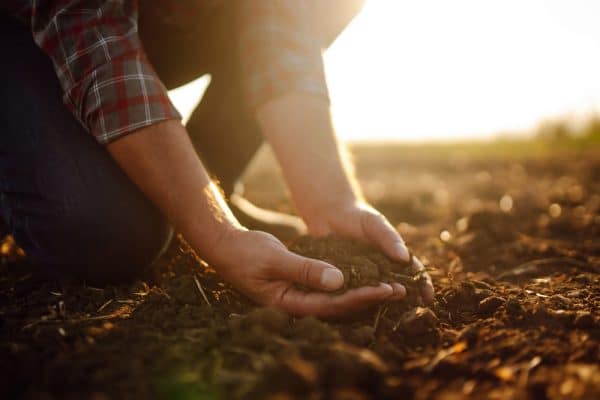 When Your Soil is Hard to Break, You Need Gypsum