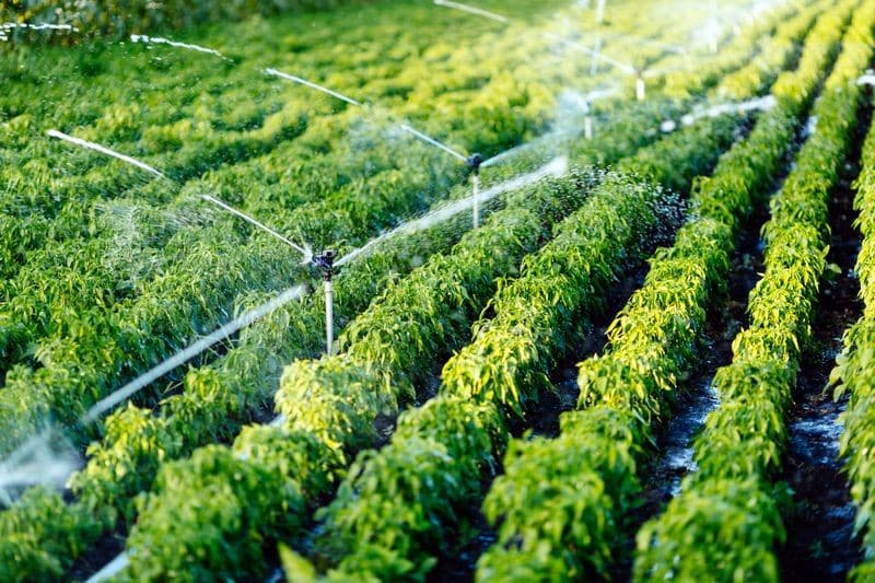 Farm-Water-Reduction-Colorado-City-CO