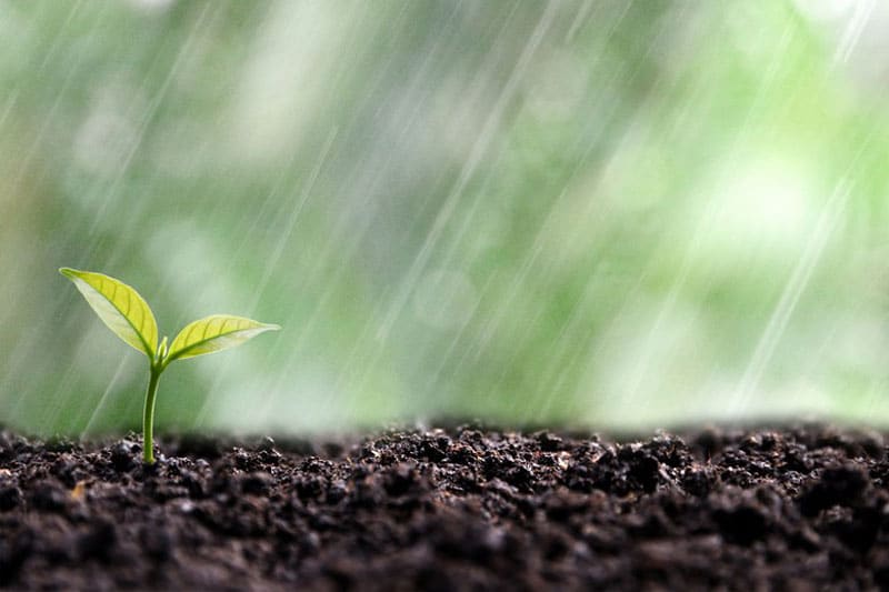 Irrigation-Water-Use-Kingman-AZ