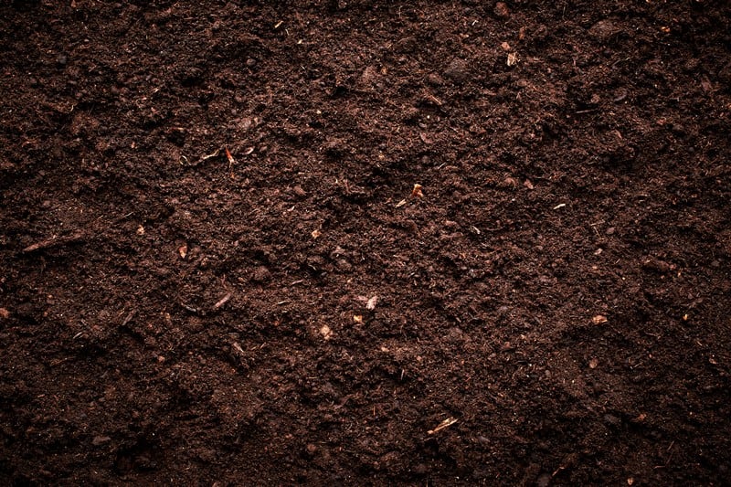Omaha Salt in Soil 5 Clay-In-Soil-Omaha-NE