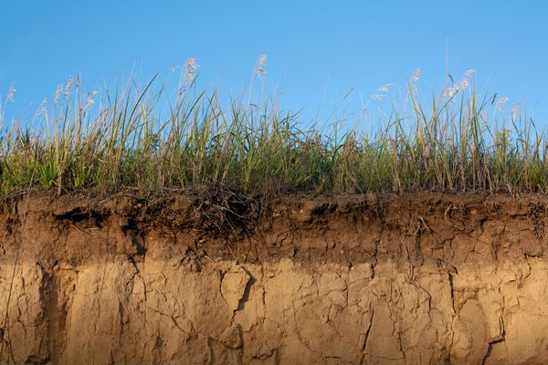 Drought-Issues-In-Soil-Charlottesville-VA