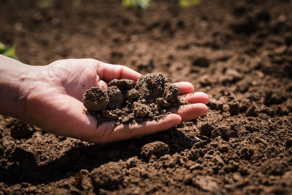 Many Farms Soil During Drought Treatment for Many Farms Soil During Drought in AZ near 86538