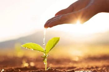 Consider Orem gypsum during drought for your crop in UT near 84604