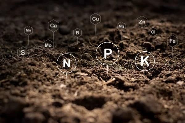 Shivwits gypsum products soil in UT near 84738