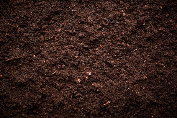 Ogden land remediation solutions in UT near 84404
