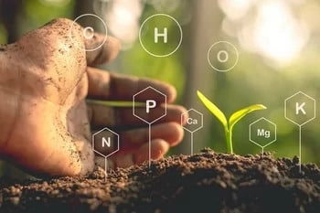 Pueblo contaminated soil remediation experts in CO near 81001