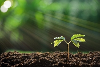 Top rated Green River soil amendment gypsum in UT near 84525