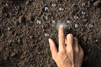 Many Farms gypsum soil for healthy crops in AZ near 86538
