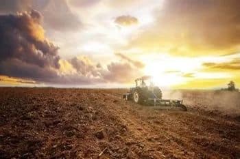Quality Broomfield organic matter soil in CO near 80020