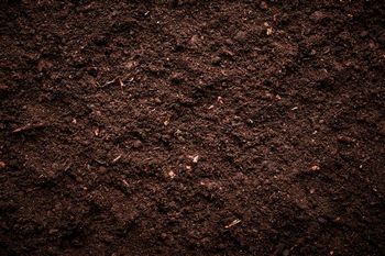 Quality Colorado City organic matter soil in CO near 81019