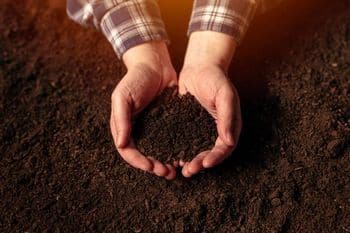 View our products for Castle Rock soil during drought in CO near 80104