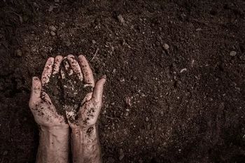 View our products for Colorado City soil during drought in CO near 81019