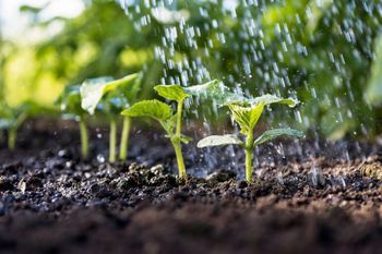 Improve Milford water infiltration in soil in UT near 84751