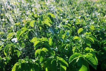 Milford water retention in soil solutions in UT near 84751