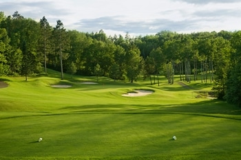 Many Farms Golf Course Maintenance