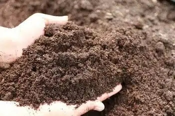 Quality Willcox gypsum soil for healthy crops in AZ near 85643