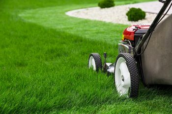 Leading Tuba City gypsum for lawns in AZ near 86045