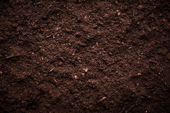 Quality La Verkin organic matter soil in UT near 84745