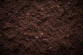 Quality La Verkin organic matter soil in UT near 84745