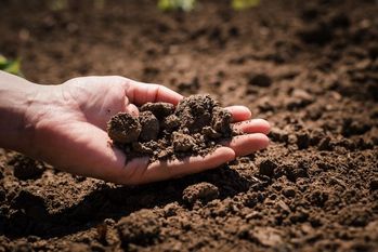 Improve soil quality with Kayenta soil amendments in AZ near 86033