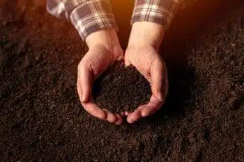 Improve soil quality with Kingman soil amendments in AZ near 86401