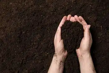 Improve soil quality with Tuba City soil amendments in AZ near 86045