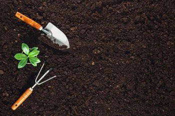 View our products for Kingman soil during drought in AZ near 86401