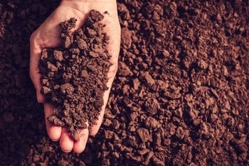 Montrose gypsum soil for healthier crops in CO near 81401