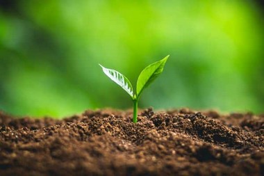 Humboldt soil enhancer for crop health in NV near 89445