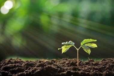 Performance boosting Reno soil enhancer in NV near 89502