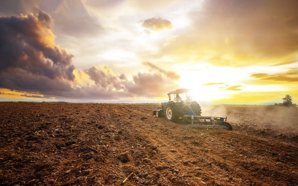 Blythe agricultural gypsum for soil treatment in CA near 92225