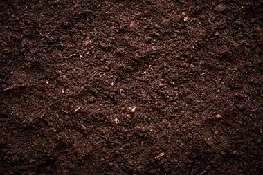 Explore our products for Blythe self sufficient farms in CA near 92225