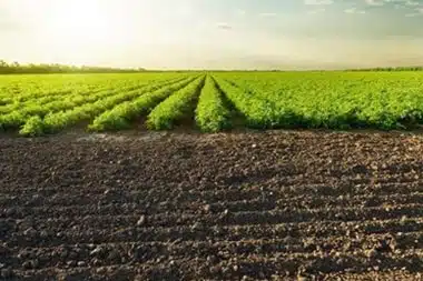 Soil enhancers for Fullerton self sufficient farms in CA near 92833
