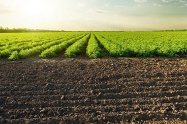 Soil enhancers for Hesperia self sufficient farms in CA near 92345