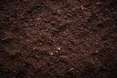 Lone Pine Self Sufficient Farms Soil enhancers for Lone Pine self sufficient farms in CA near 93545
