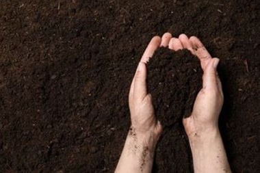 Bakersfield sustainable agriculture solutions in CA near 93309