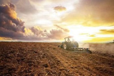 Berkeley sustainable agriculture practices in CA near 94704