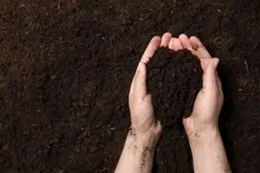 Hayward sustainable agriculture solutions in CA near 94544