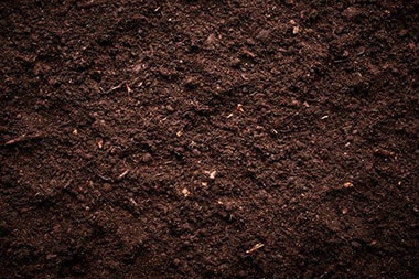 Huntington Beach sustainable agriculture solutions in CA near 92647