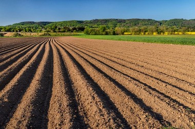 Lone Pine sustainable agriculture practices in CA near 93545