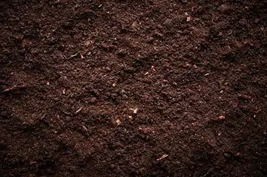Fremont sustainable farming methods in CA near 94536