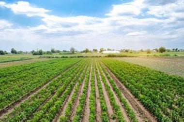 Glendale sustainable farming techniques in CA near 91205