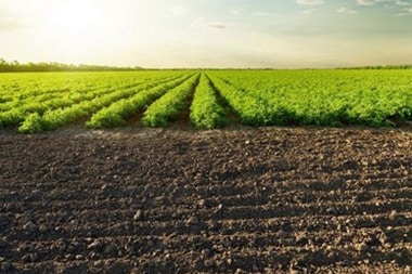 Lone Pine sustainable farming techniques in CA near 93545