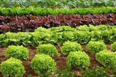 Moreno Valley regenerative agriculture specialists in CA near 92553