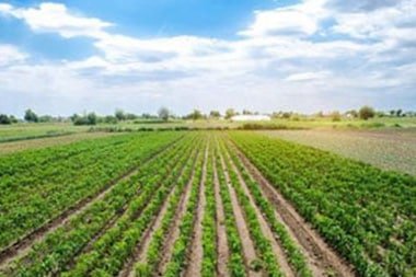 Stockton regenerative agriculture solutions in CA near 95206
